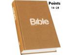 What we believe the second part - the doctrinal points 16-28